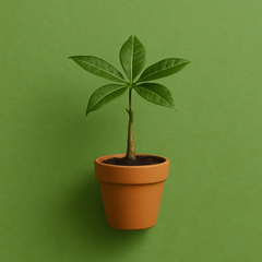 Collection image for: Startup Life